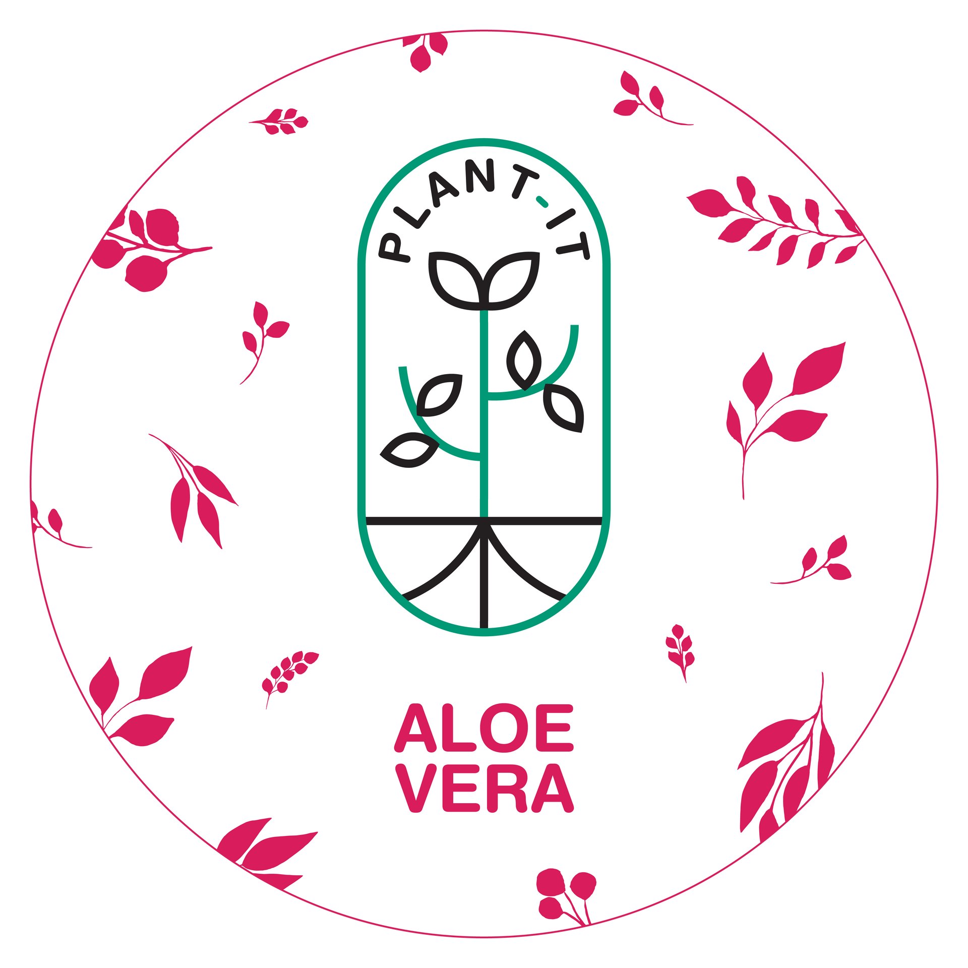 Logo per Plant-It Aloe Vera, raffigurante una pianta all'interno di un rettangolo verde arrotondato, circondato da foglie rosa.