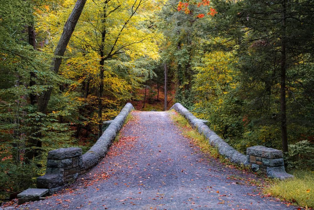 A stone bridge over a road in the middle of a forest.