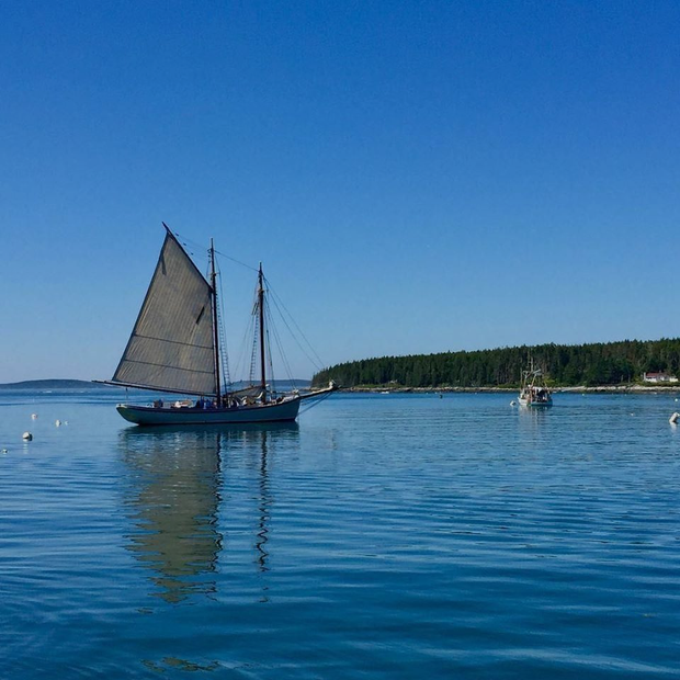 Sailboat with tan sails on calm blue water near a forested shoreline under a clear sky