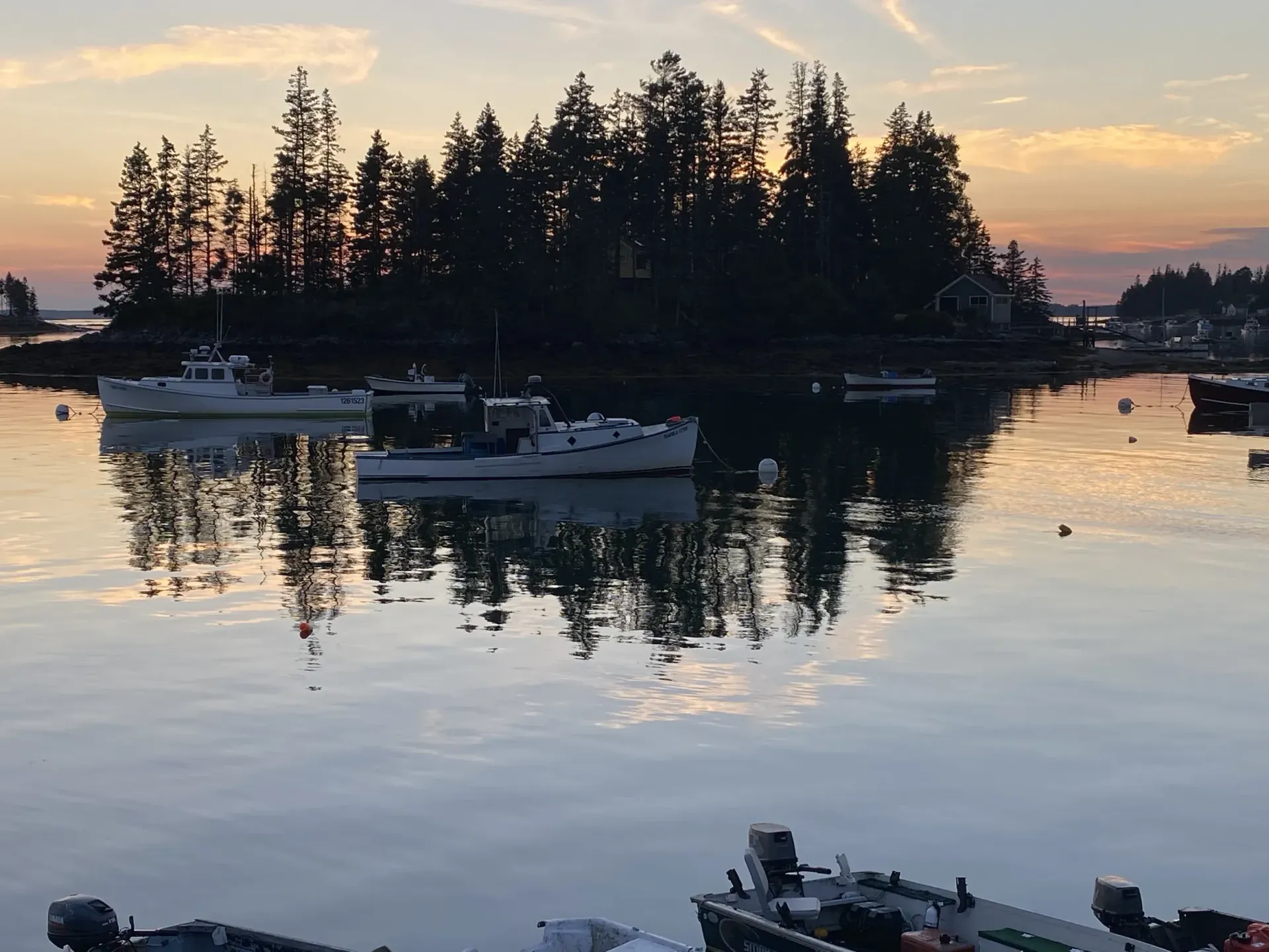 Sunset over calm harbor with anchored boats and silhouetted pine-covered island reflected in water