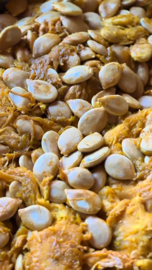 Flores en maceta: flores rosas y amarillas, hojas verdes, maceta oscura, junto a una ventana.