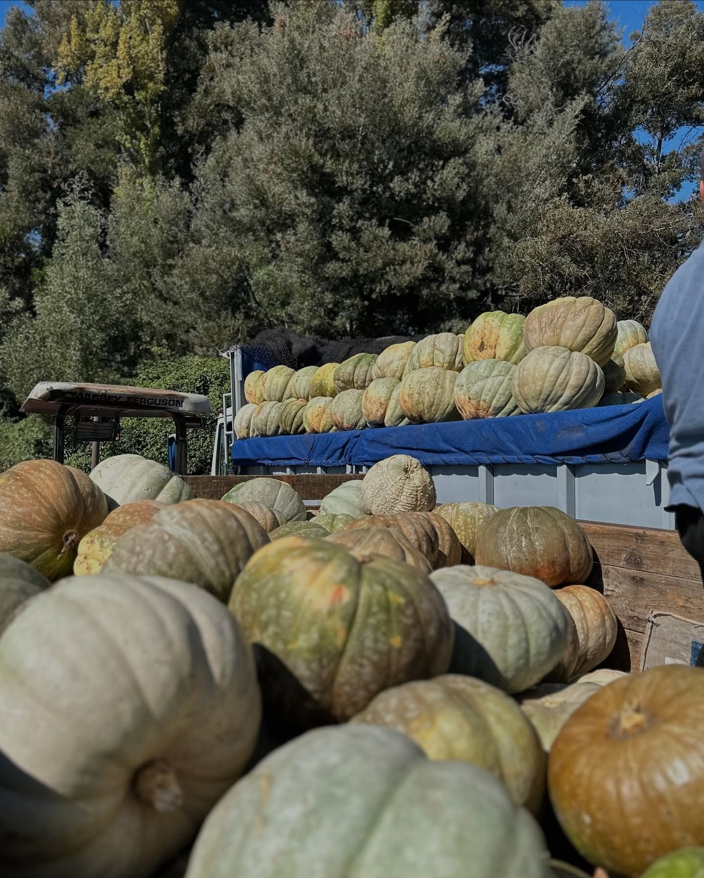 Casa de ladrillo de dos pisos con un camino sinuoso a través de un patio verde; cielo azul en el fondo.