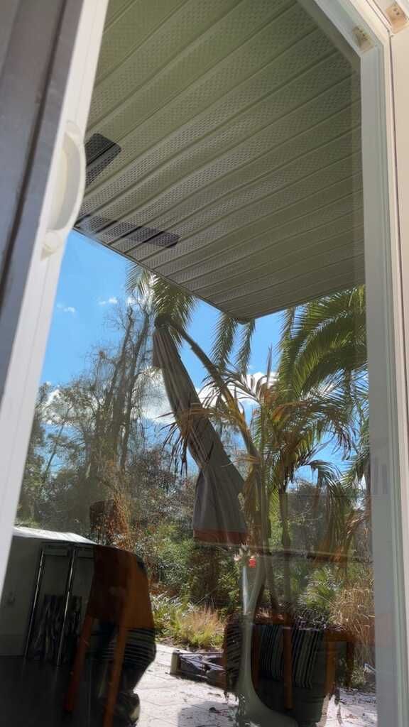 Sunlit porch view with a white ceiling, palm trees, and a glass door reflecting the outdoors