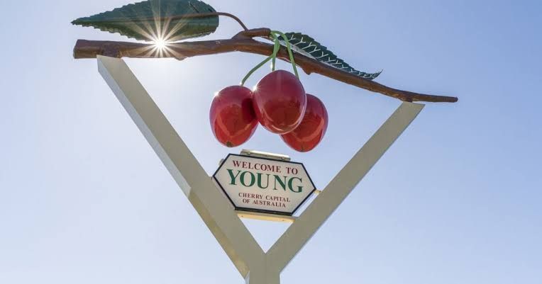 Young — Paint Place Cowra In Young NSW