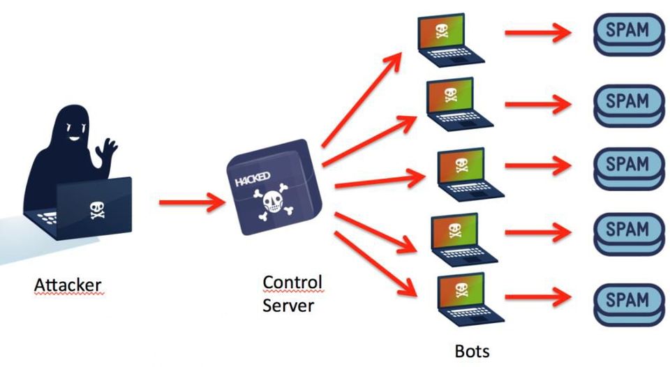 What is a Botnet?