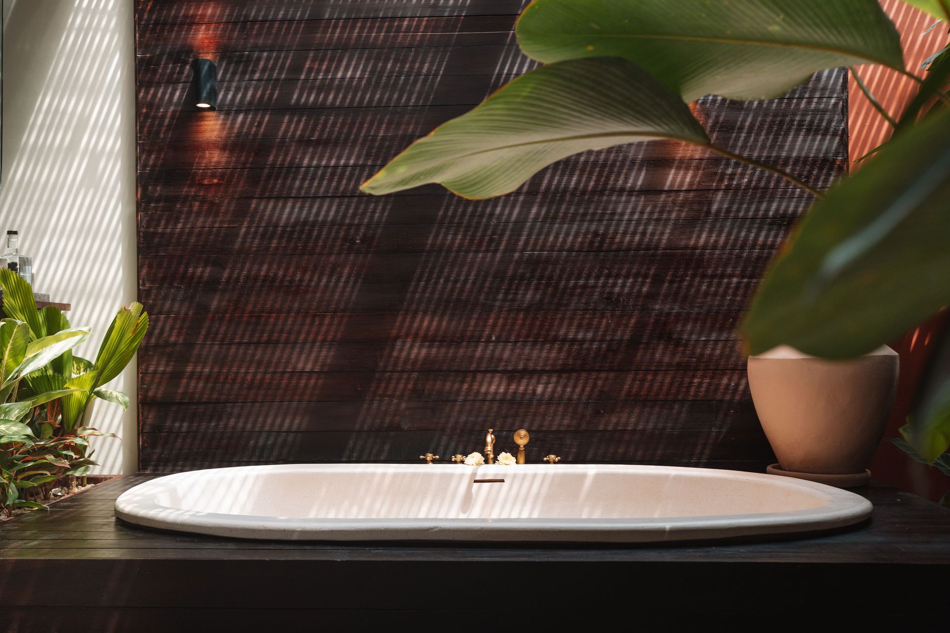 White oval sink on a black counter with a faucet, framed by plants and a textured dark wall.