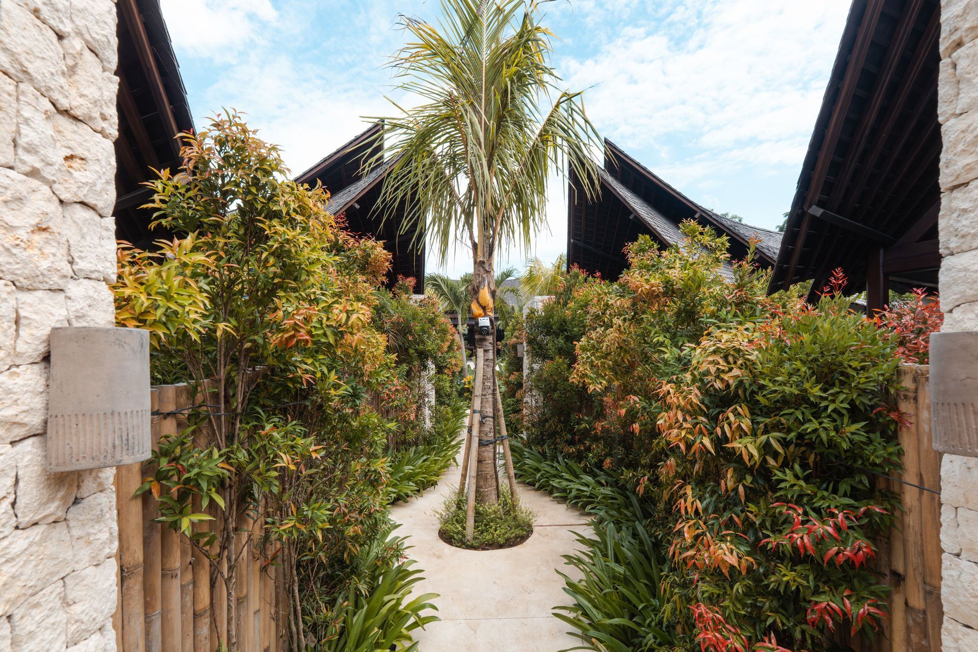 Tropical walkway with palm trees and lush shrubs between stone walls and thatched-roof buildings