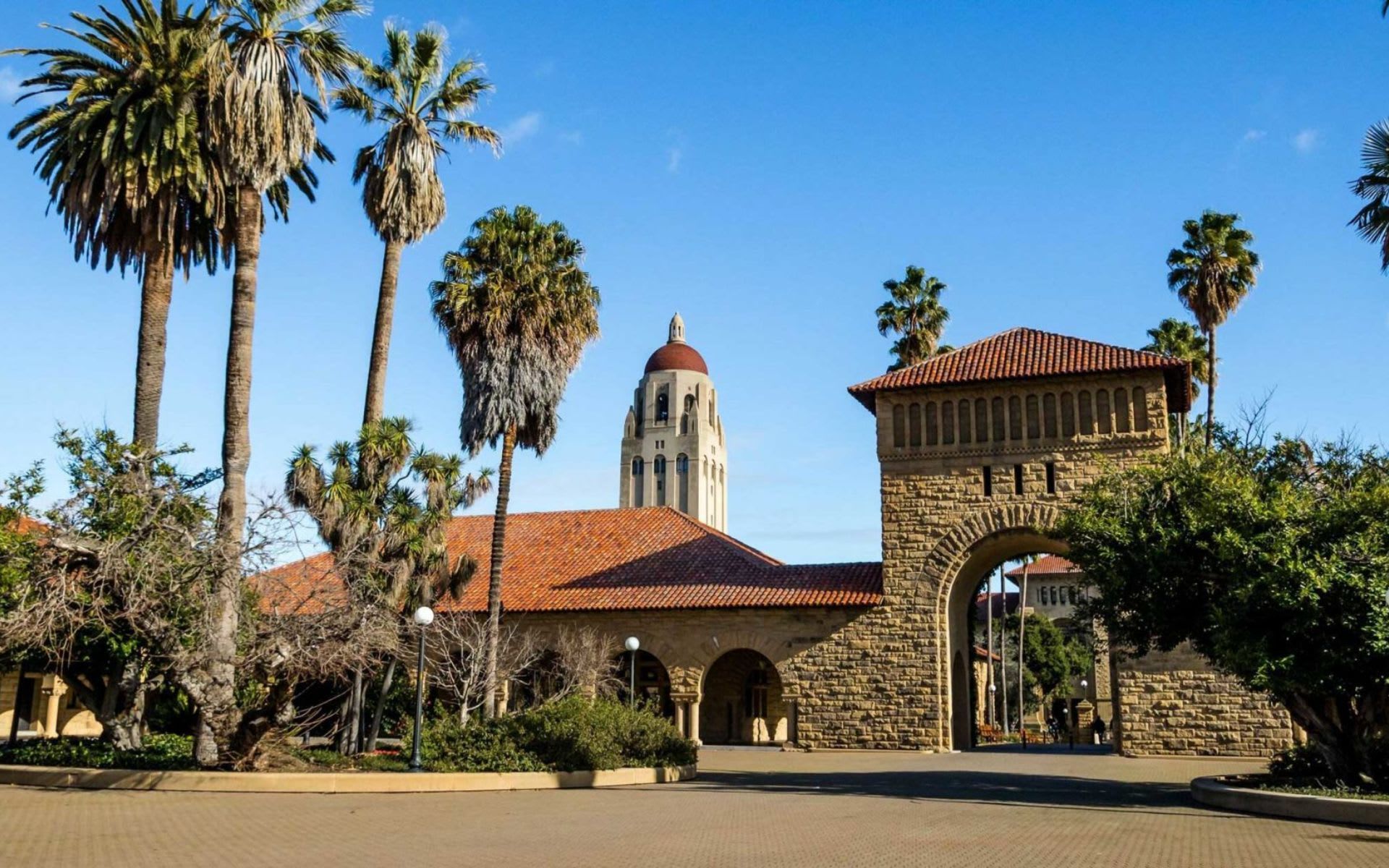 The stone arched entryway and bell tower of Stanford University, framed by palm trees against a blue sky.