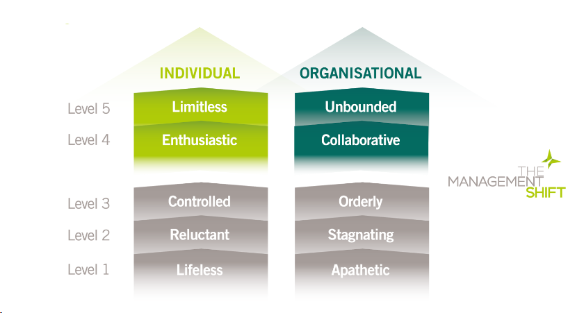 5 Level Emergent leadership Model