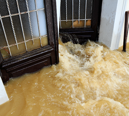 Muddy Water Pouring Through the Entrance Door | Greenville, KY | All In One Services LLC