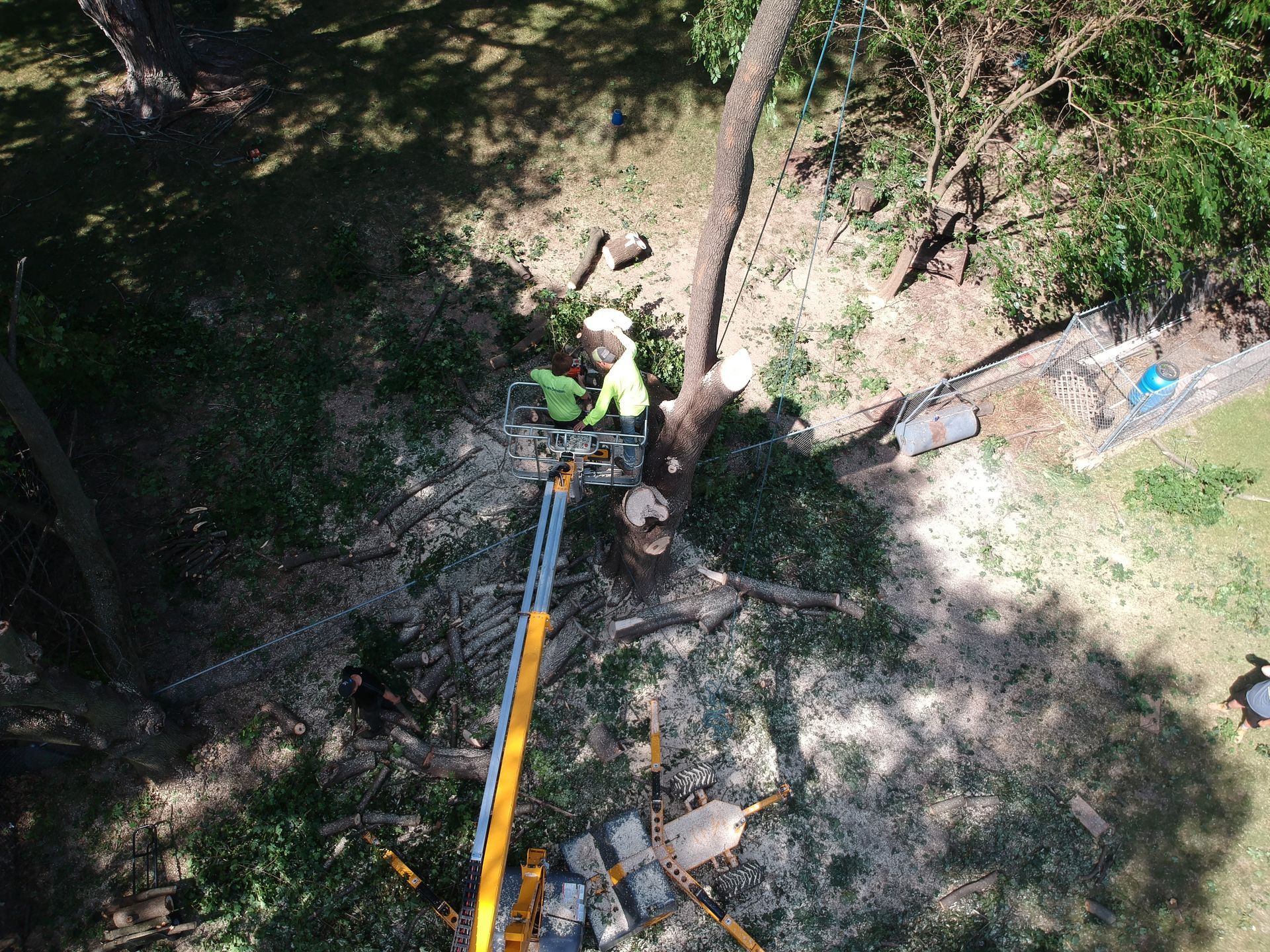 A person holding a baby up in the air indoors near a window, baby smiling.