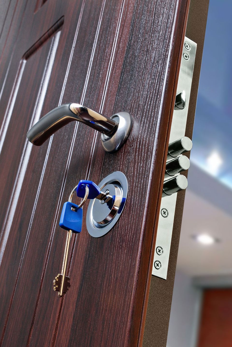 dettaglio porta blindata