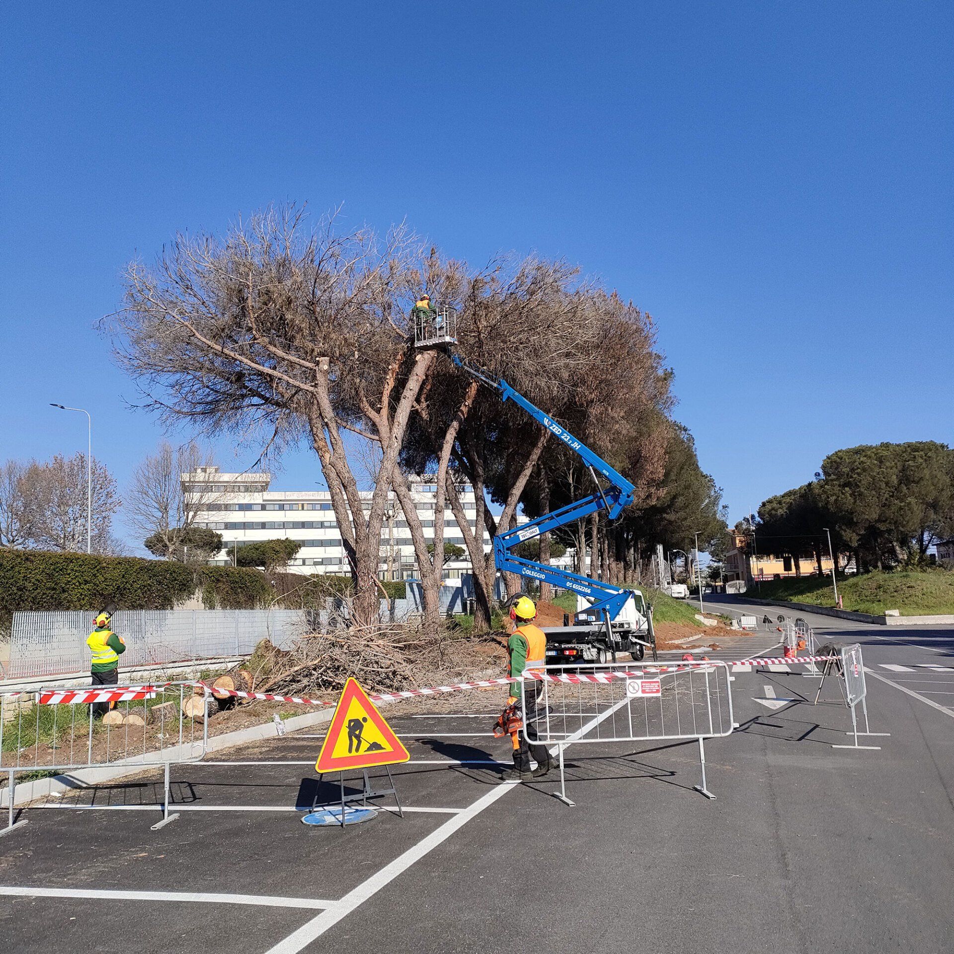 strada chiusa e sullo sfondo elevatore blu davanti ad albero