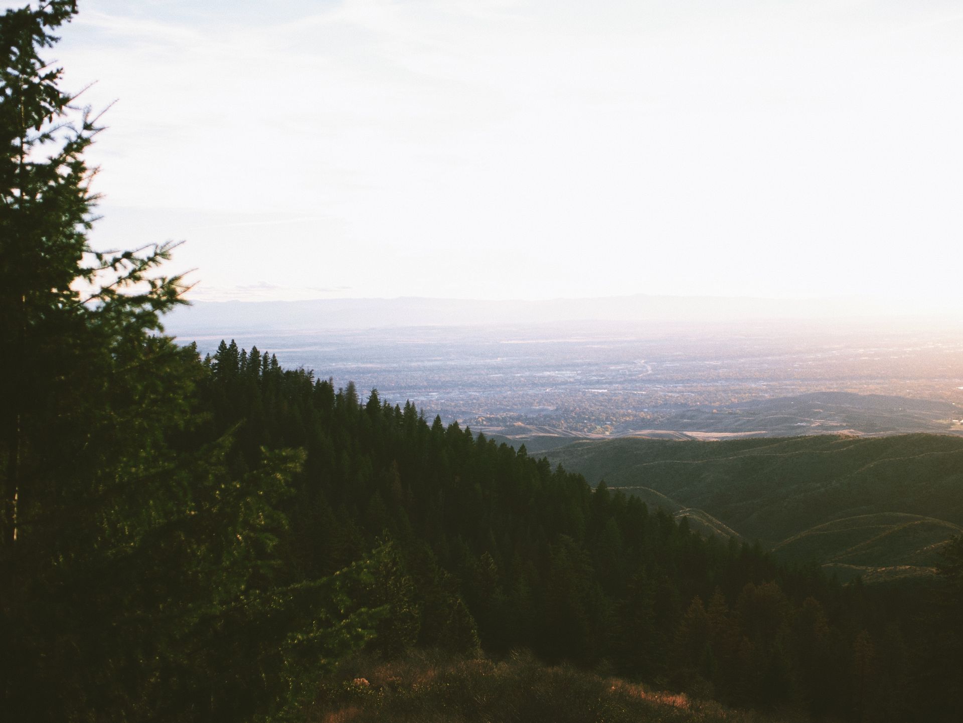 A view of a city from a mountain with trees in the foreground.