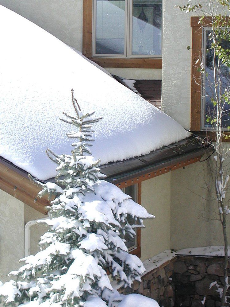 IceFree Eave Panels & Heated Roof Panels