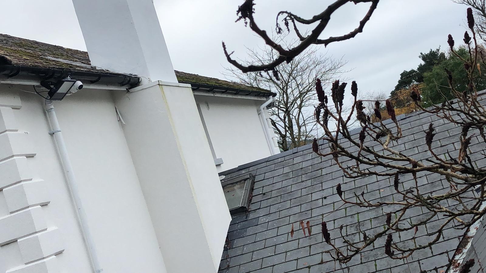 A white house with a slate roof and a tree in front of it.
