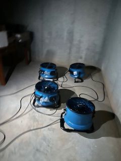 Four blue fans on a concrete floor in a basement, likely for drying after water damage. Four blue fans on a concrete floor in a basement, likely for drying after water damage.