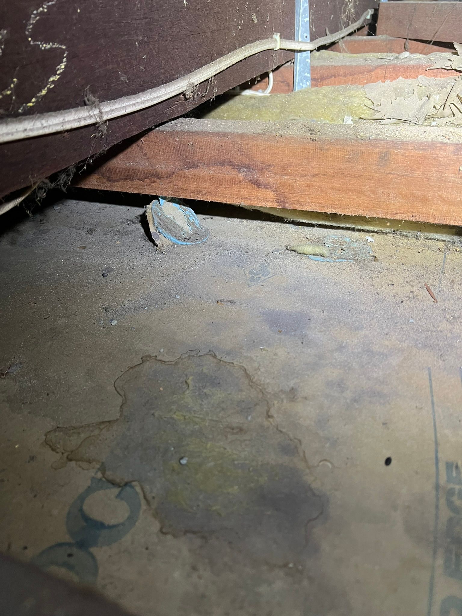 An attic floor showing a damp, dark stain on the plywood surface near wooden joists and electrical wiring.