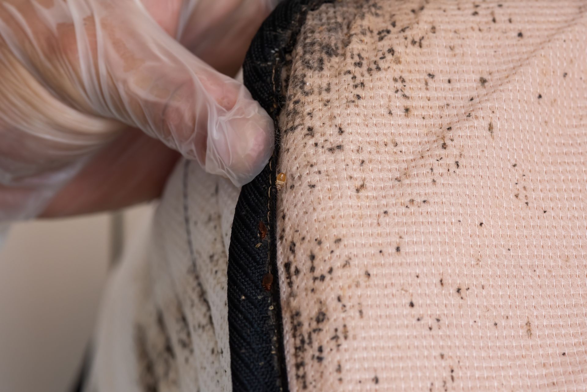 Gloved hand inspecting a dirty black seam on white fabric close-up