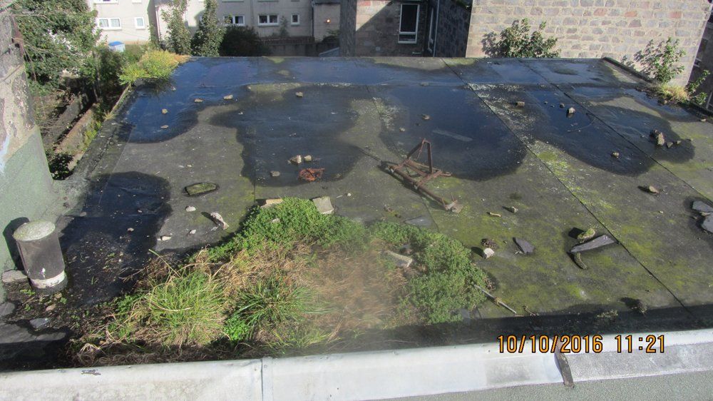 Flat Roof Replacement