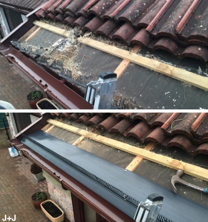 Gutter-Bird Entry Deterant