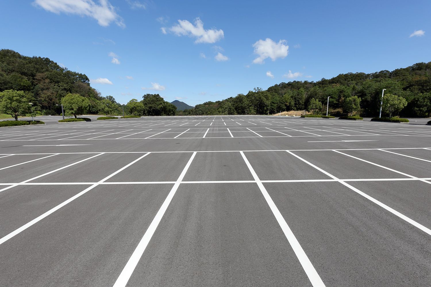 An empty parking lot with white lines and trees in the background