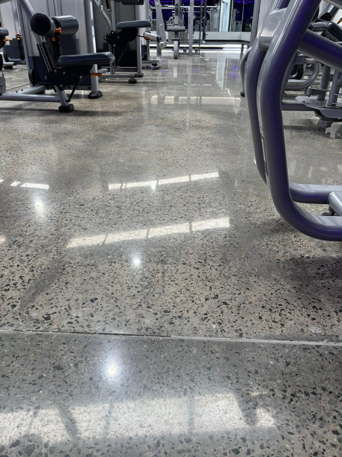 polished and sealed concrete floor with black and grey vinyl chips