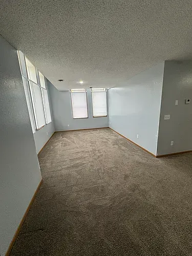 Empty room with light blue walls, carpet, and three windows.