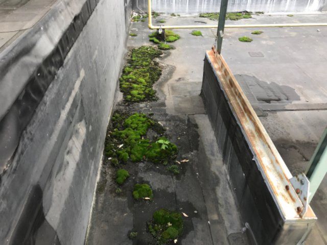 Expert roofing repair work