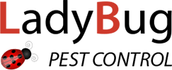 Lady Bug Pest Control