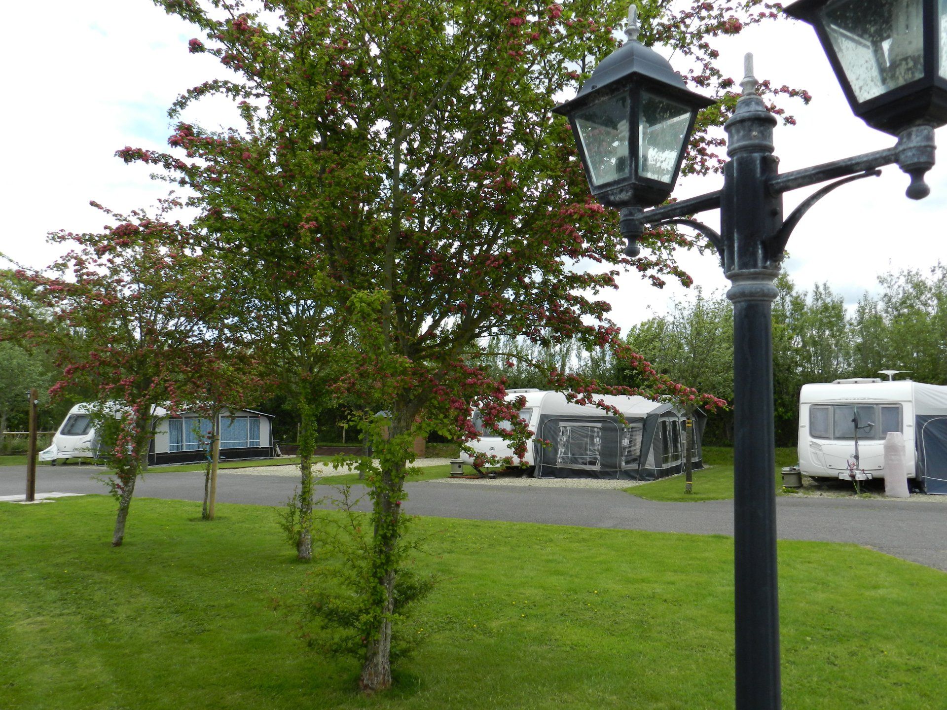 Caravans with awnings at Coombes Cider Farm