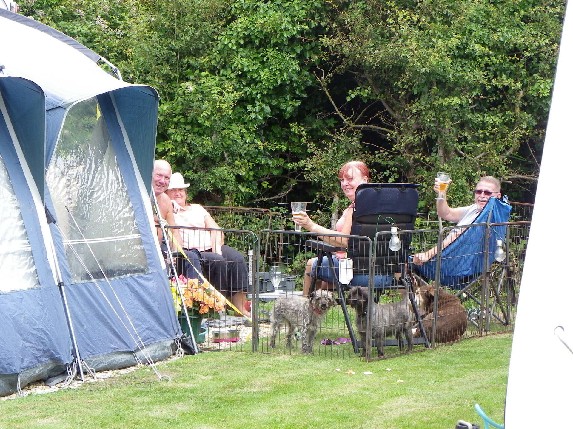 Happy campers and their dogs, Somerset