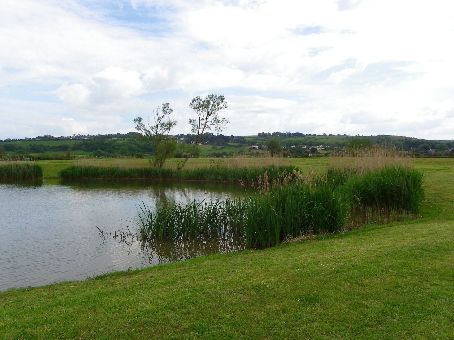 Blue skies over the fishing lake