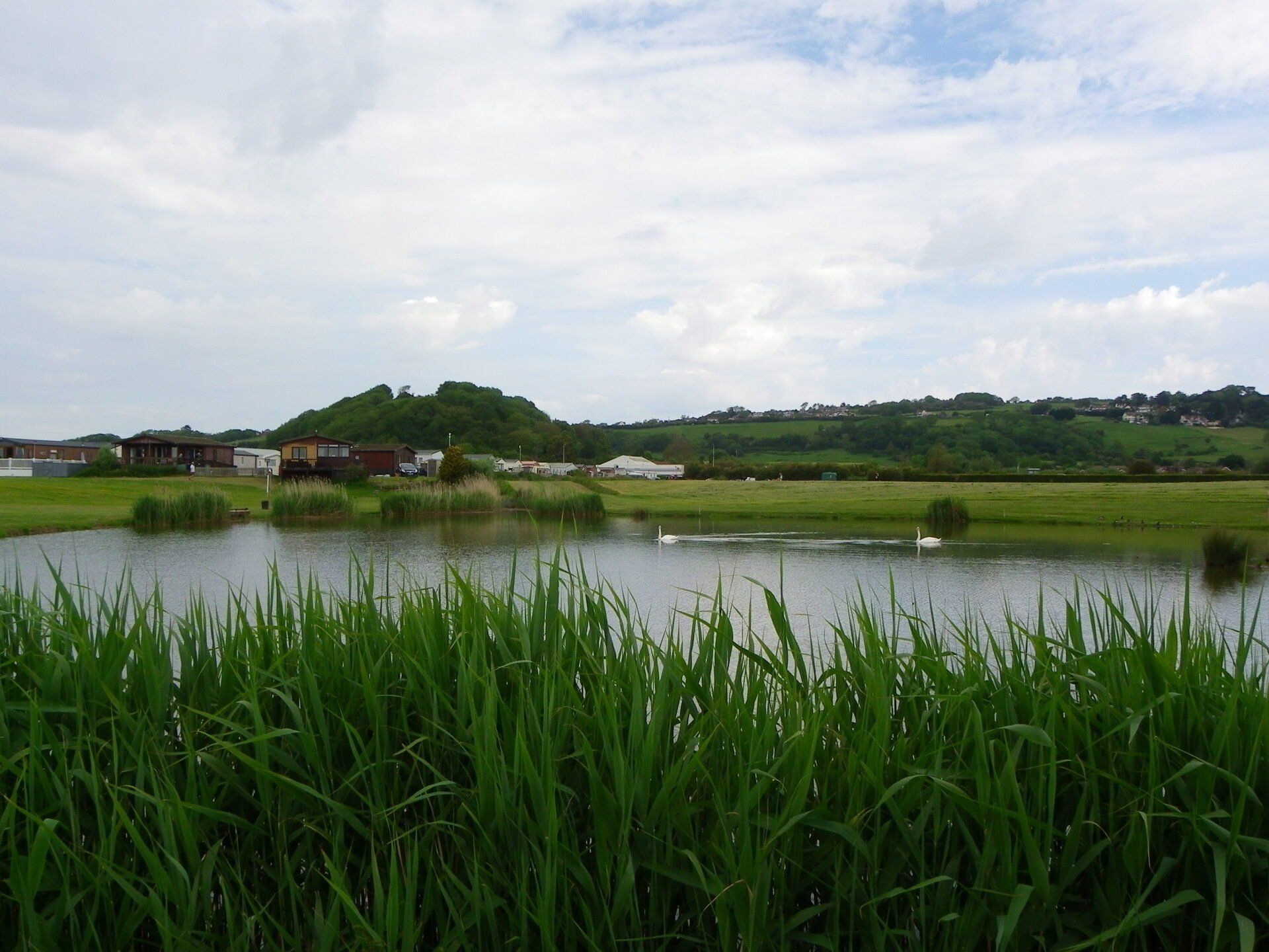 A view of our holiday park from the fishing lake