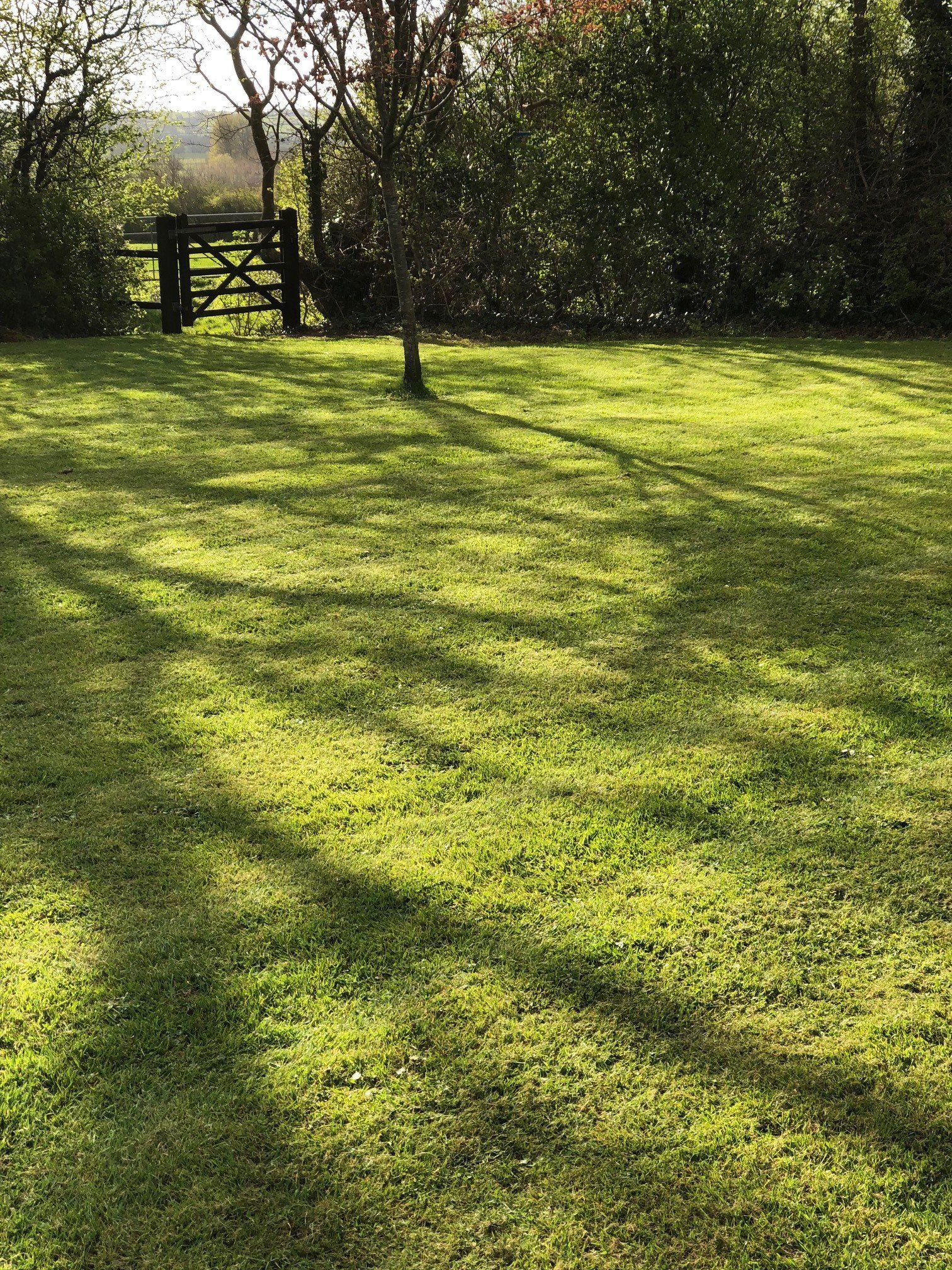 Well maintained grass waiting people for camping and caravanning.