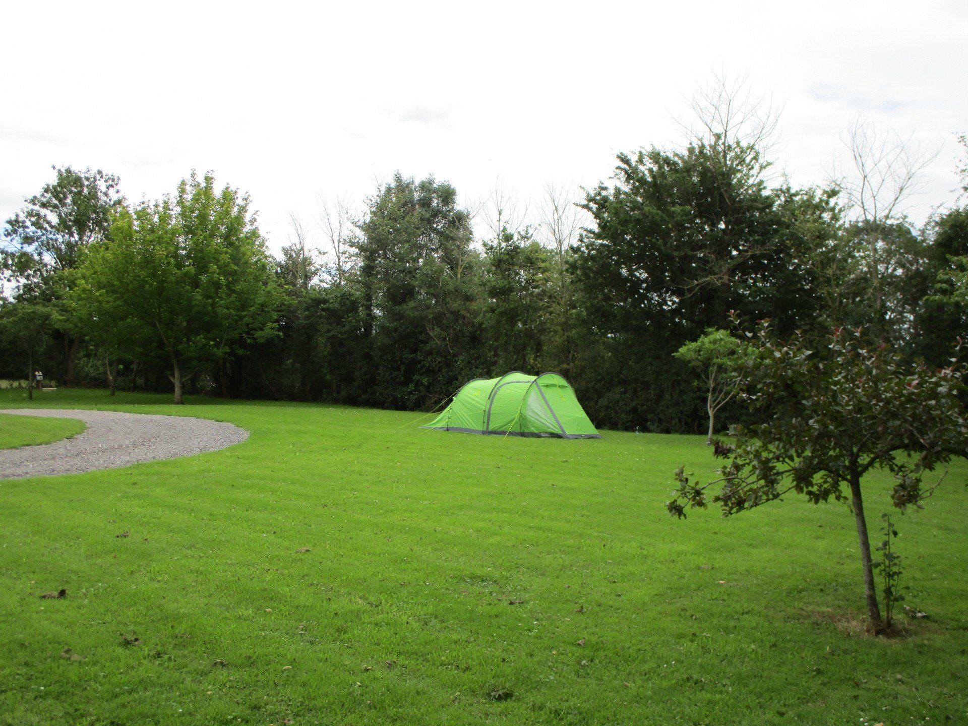 Tent in cheddar camping site.
