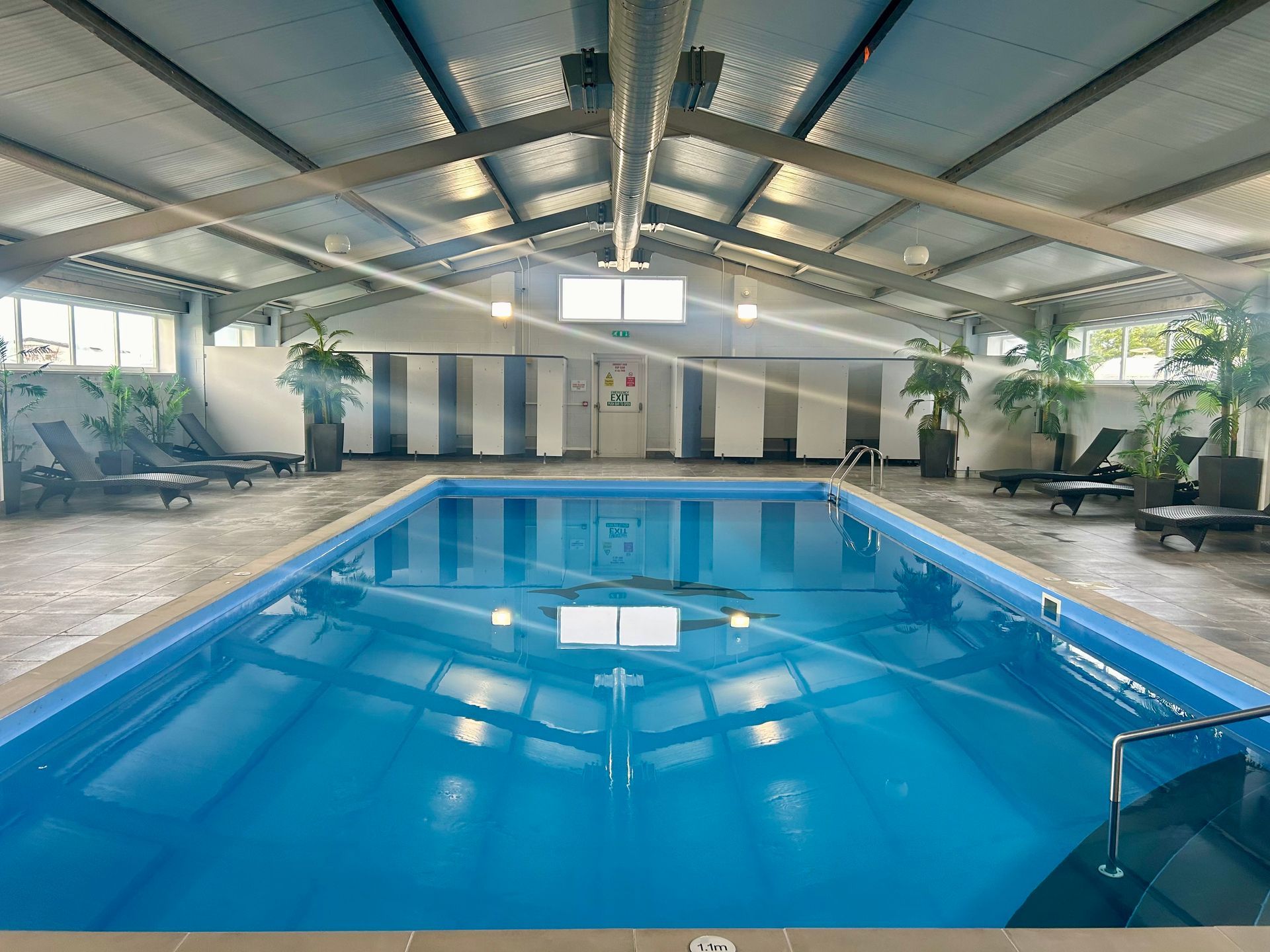swimming pool with dolphin motif