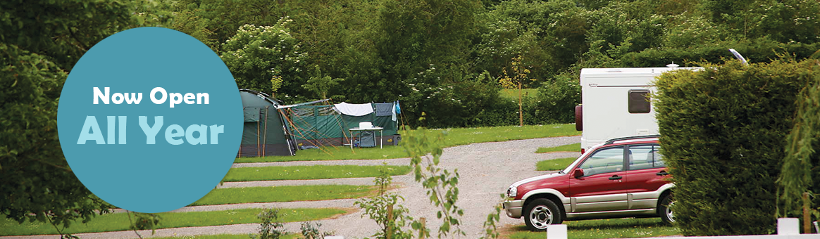 Rodney Stoke Caravan & Camping Park near Cheddar