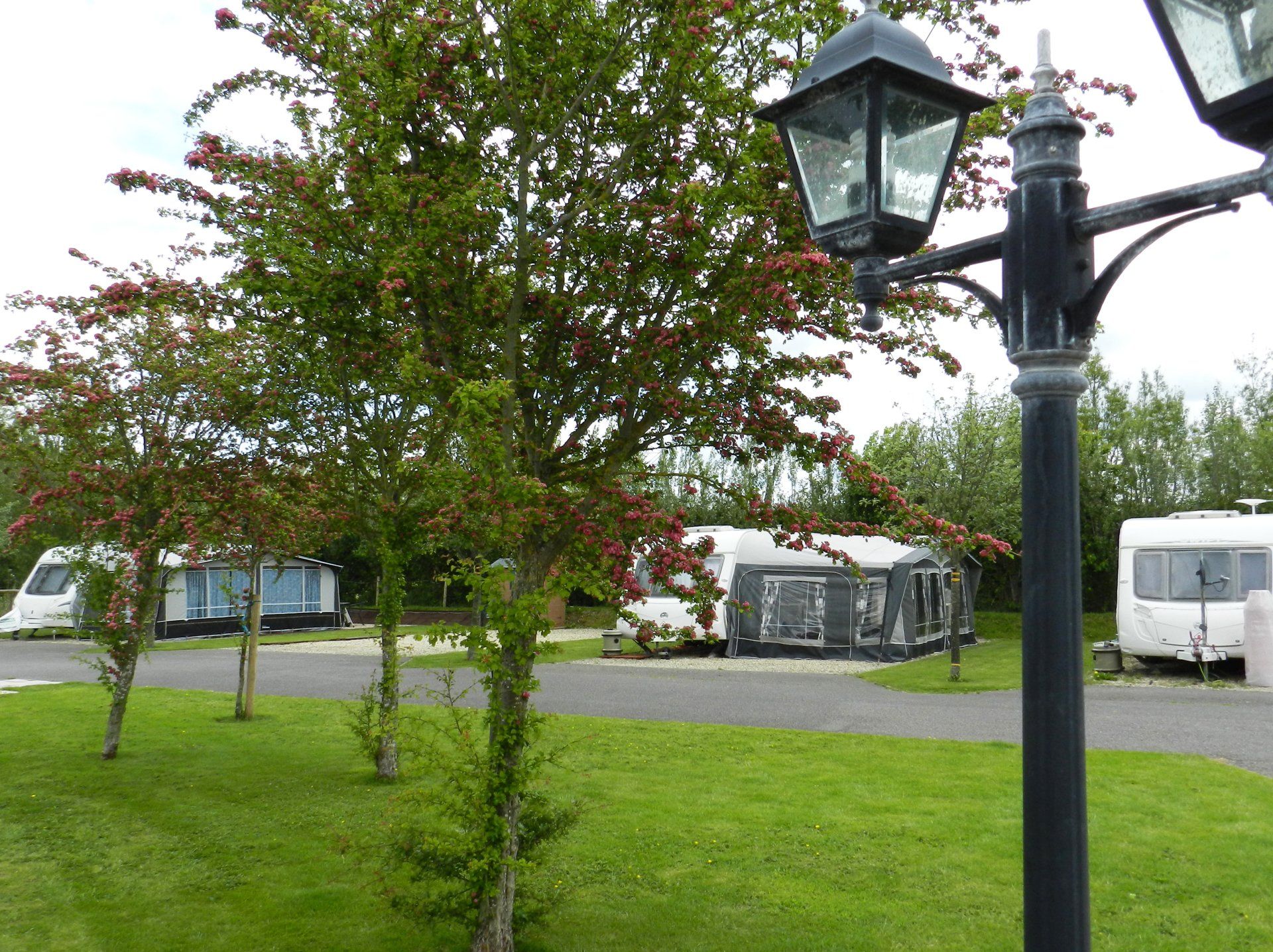 Light, New Trees & Caravans at Coombes Cider Farm