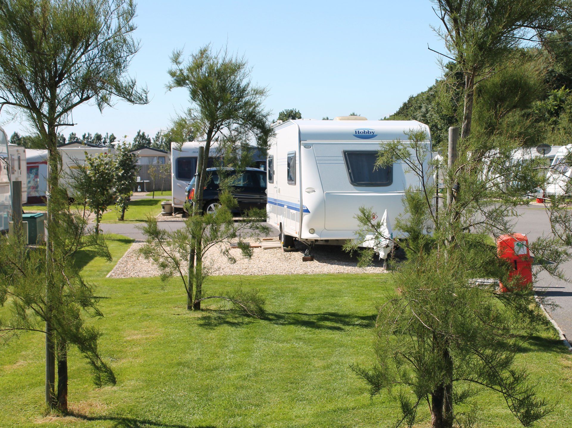 Caravans in Static Touring Pitches by Newly Planted Trees