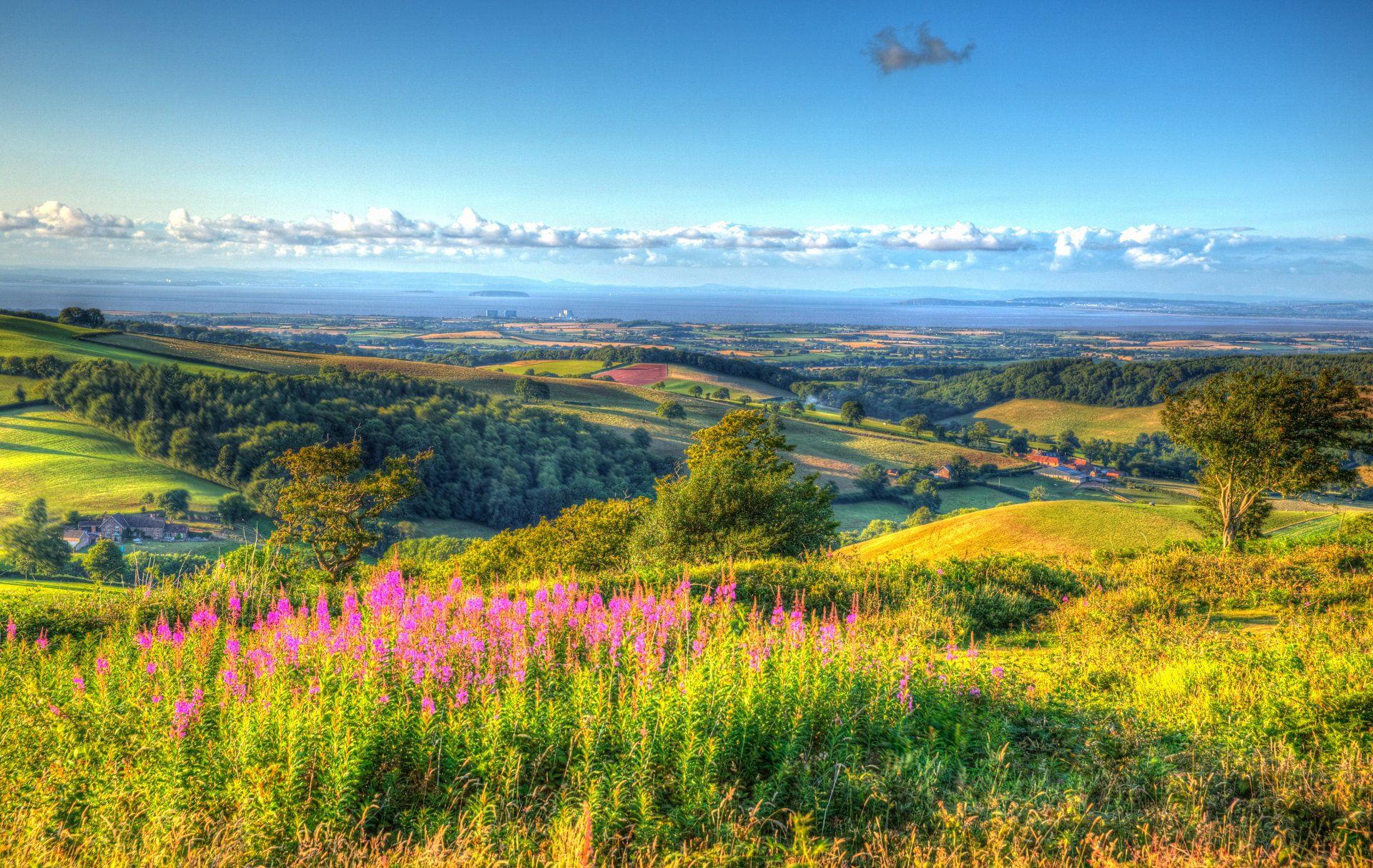 The Quantock Hills, Somerset