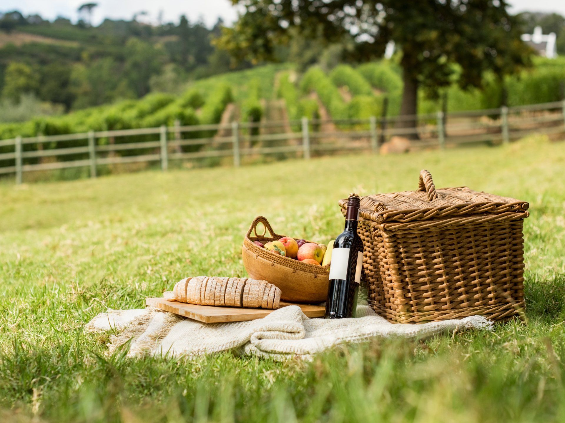 A picnic basket in a field.