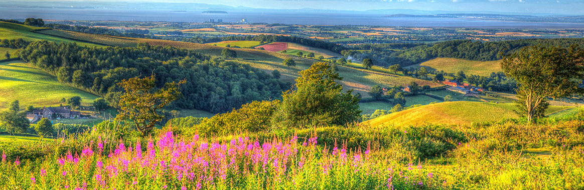 The Quantock Hills in Somerset