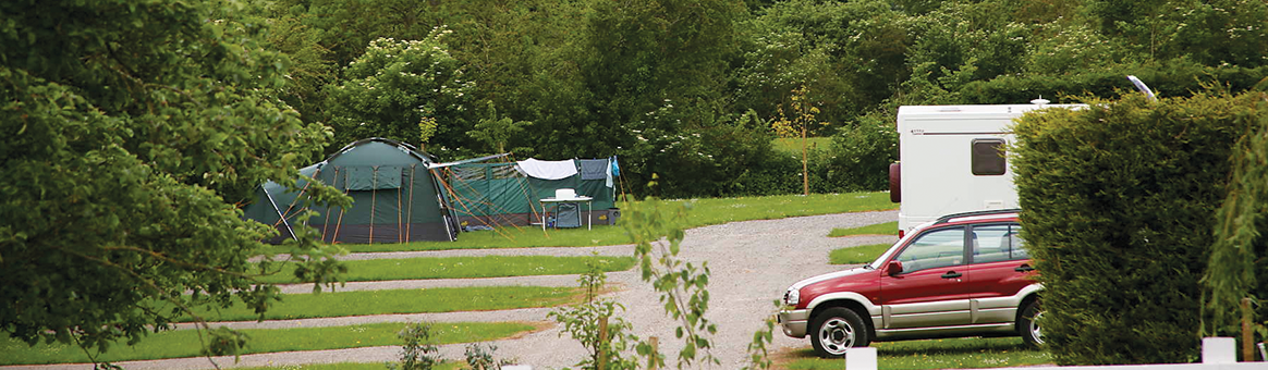 Rodney Stoke Caravan & Camping Park near Cheddar