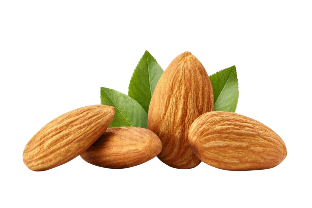 A group of almonds with green leaves on a white background