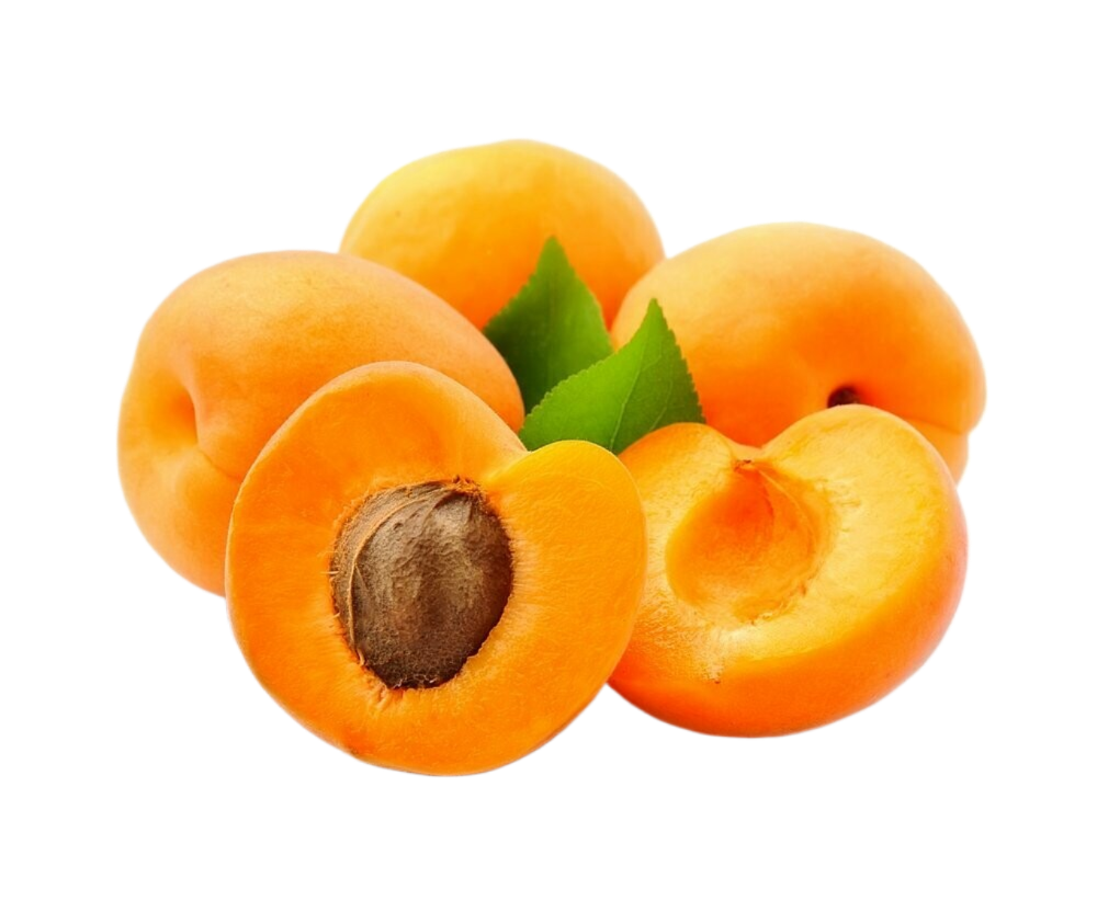 A group of apricots with leaves on a white background