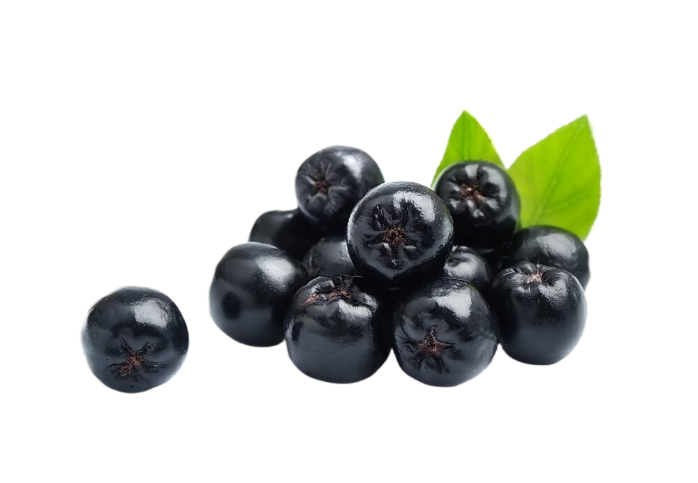 A bunch of aronia berries with green leaves on a white background.