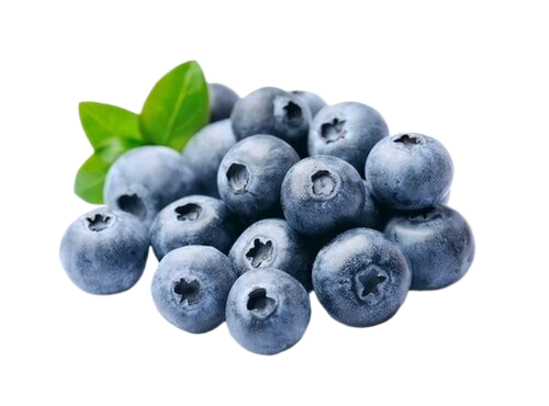 A bunch of blueberries with green leaves on a white background
