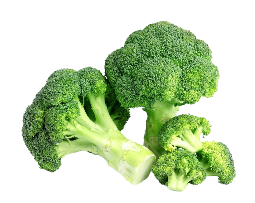 A bunch of broccoli on a white background