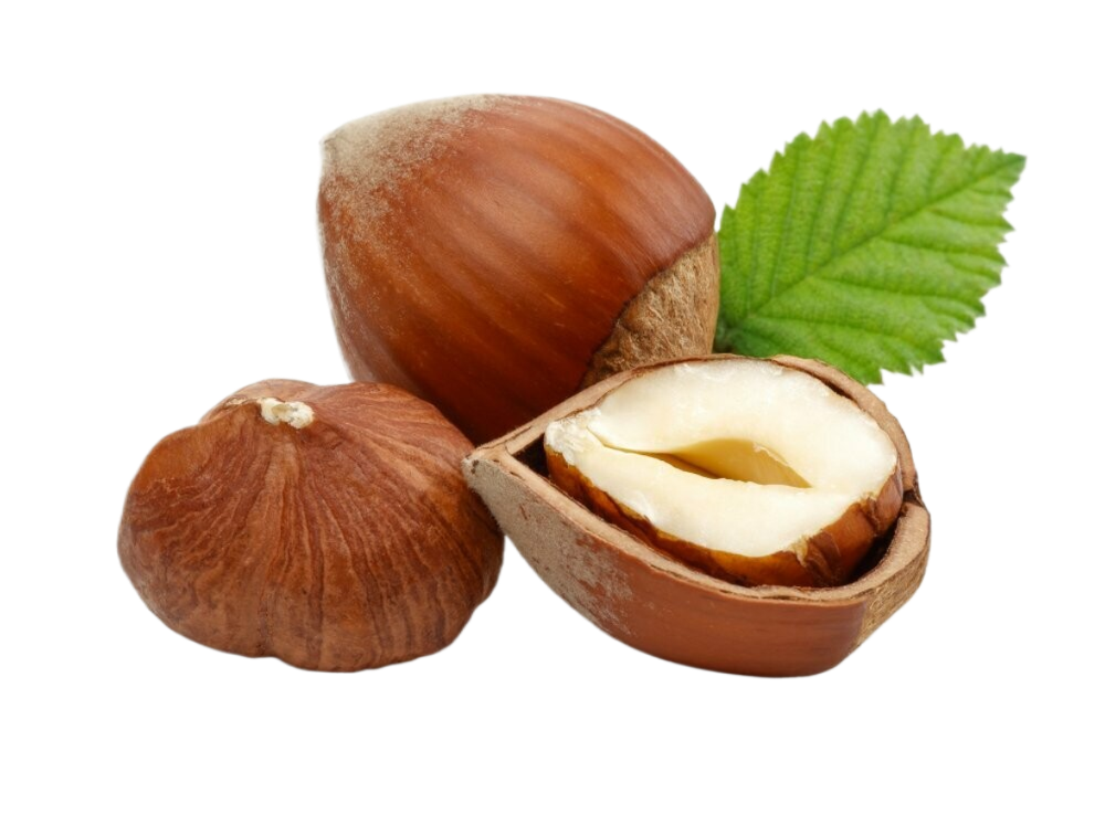 Two hazelnuts with a green leaf on a white background